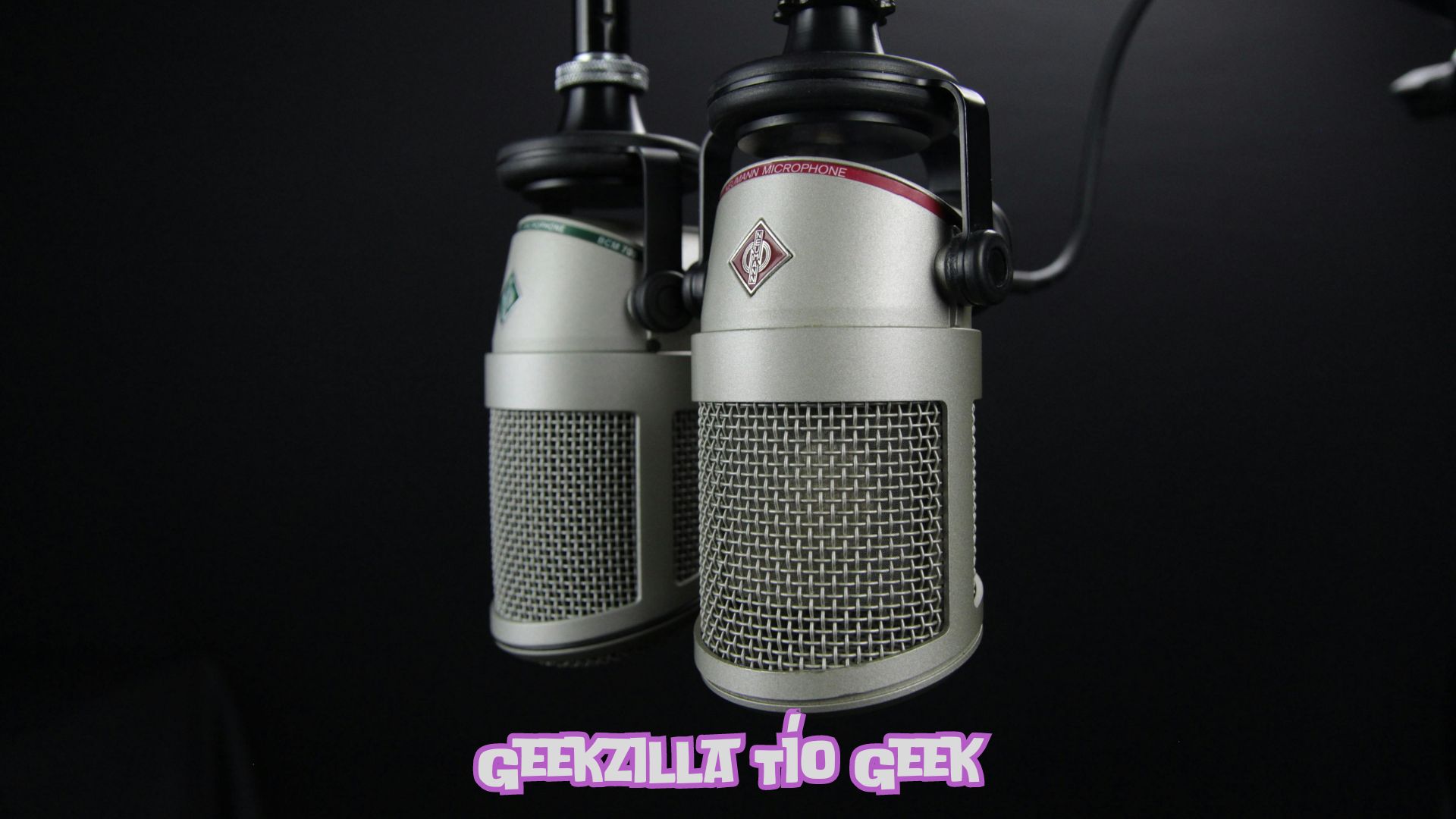 Geekzilla Tío Geek